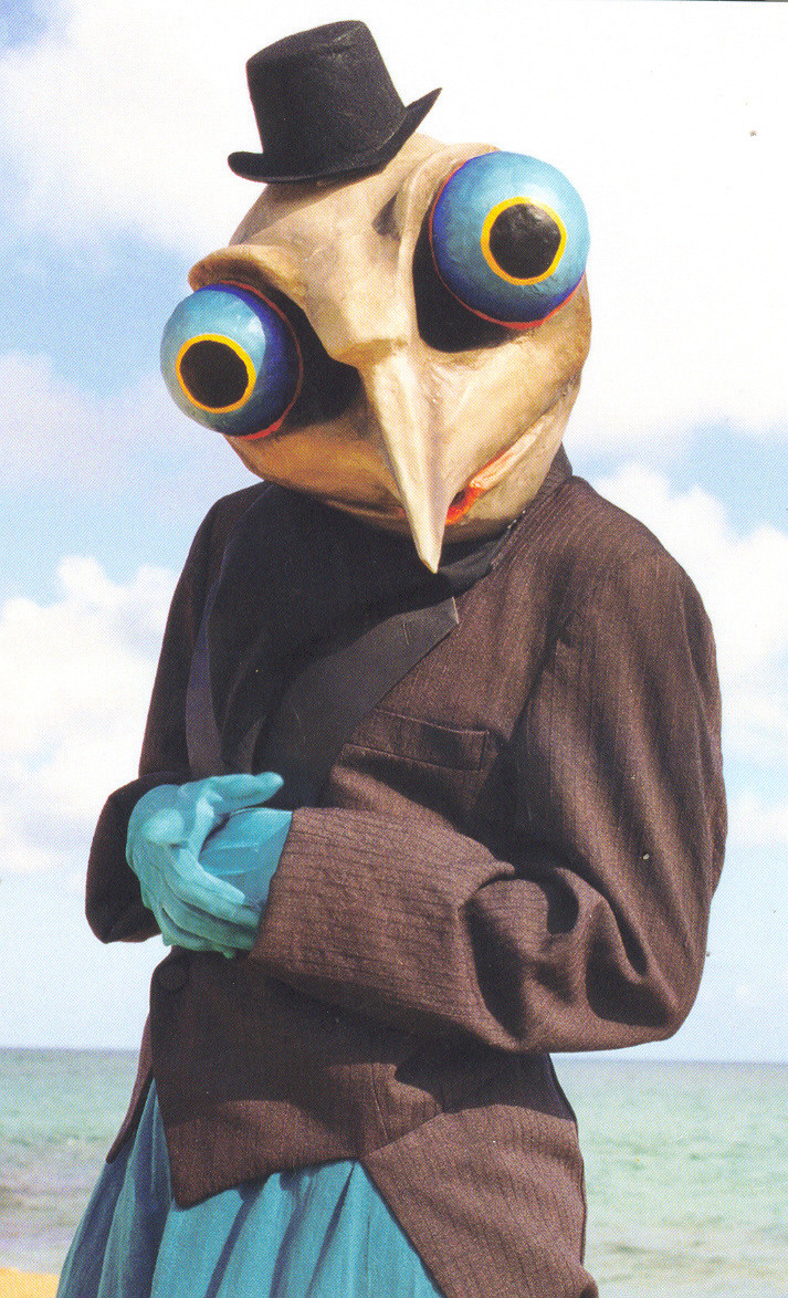 pájaro